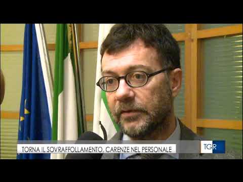 Report carceri 2018 - TGR del 11/01/2019 edizione 14.00