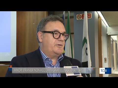 TGR Marche del 18/11/2022